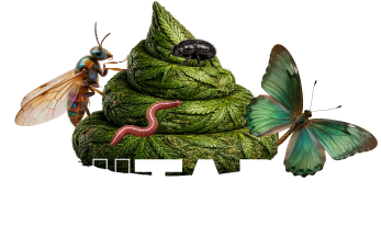 SHITART